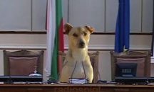 „Ка́жи честно“: Пръв сред равни