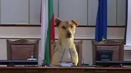 „Ка́жи честно“: Пръв сред равни