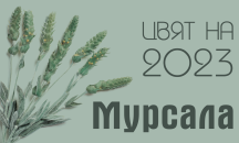 „Мурсала“ е българският цвят на 2023 година