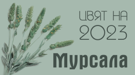 „Мурсала“ е българският цвят на 2023 година