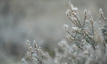 Облачно с валежи от дъжд и сняг
