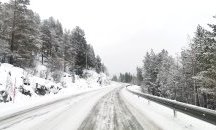 Сняг и силен вятър в Североизточна България