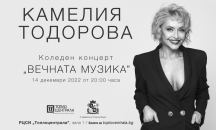 Коментар: Има ли място концертът на Камелия Тодорова в Топлоцентрала?