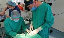 Пробив на български учени дава голяма надежда при рак на ларинкса