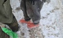Гранични полицаи спасиха от измръзване баща и дете мигранти край Драгоман