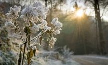 Какво време ни очаква през януари?