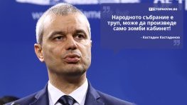 Големите кавички: „Народното събрание е труп, може да произведе само зомби кабинет“