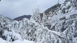 Възстановено е електрозахранването на 385 000 клиенти на ЕРМ Запад в Западна България