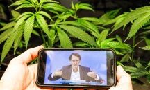Една необичайна първоаприлска изненада