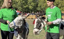 Общината ще продължи да подпомага всички усилия на животновъдите да се развиват 19.10.2024