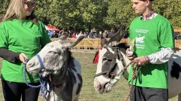 Общината ще продължи да подпомага всички усилия на животновъдите да се развиват 19.10.2024