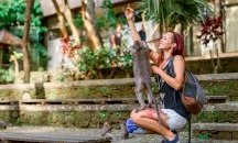 Бъди свободен, общувай без граници, докато пътуваш