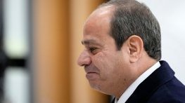 Относно: Абдел Фатах Сиси