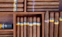 Бутиковите пури оспорват монопола на Cohiba