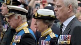 В името на Короната