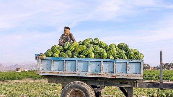 Последните издихания на режима