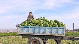 Последните издихания на режима