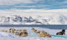 Невъзможният суверенитет