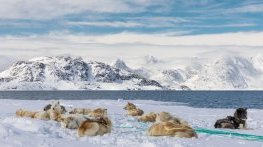 Невъзможният суверенитет