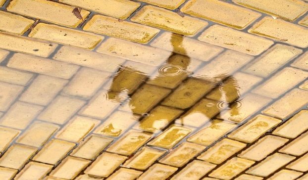 Жълтото паве и липсващият бранд на София