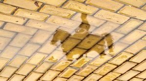 Жълтото паве и липсващият бранд на София